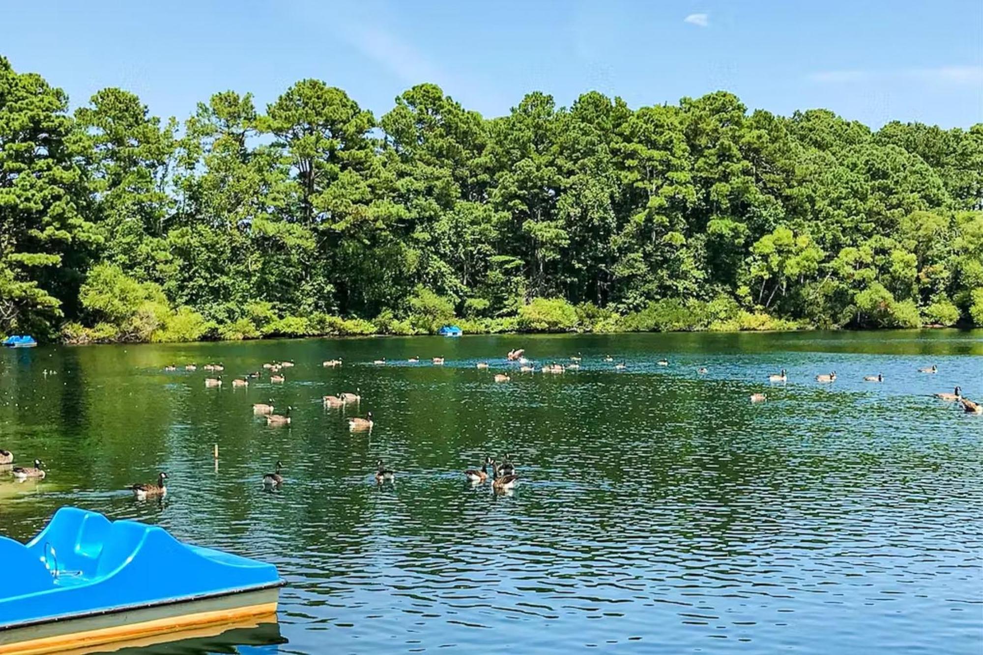 Bay-View Beauty In Assateague Point Villa Berlin Bagian luar foto